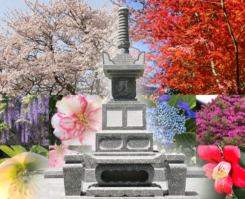 誕生院の樹木葬永代供養墓